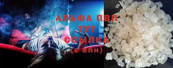 сатива Осинники
