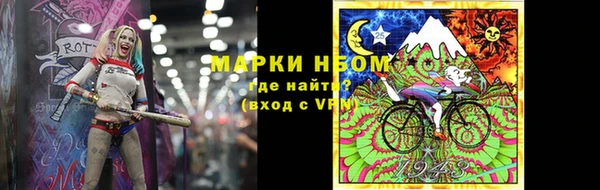 сатива Осинники